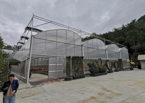 Industrial Flower Commercial High Tunnel Greenhouse With Fixed Roof Windows