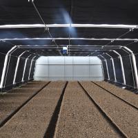 Privación de luz Invernadero americano hidropónico Túnel automático Agricultura Invernadero de película Invernadero apagón