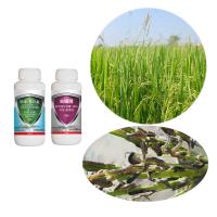 10% Clorfenapir Plaguicida biológico Bacillus Thuringiensis Israelensis BTI Liquido en aerosol