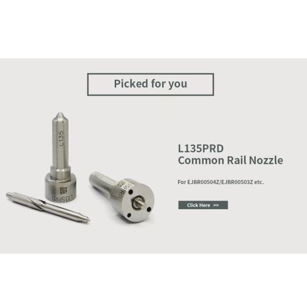 Набор ремонта Delphi Injector 7135-656 для R00504Z с насадкой L135PBD