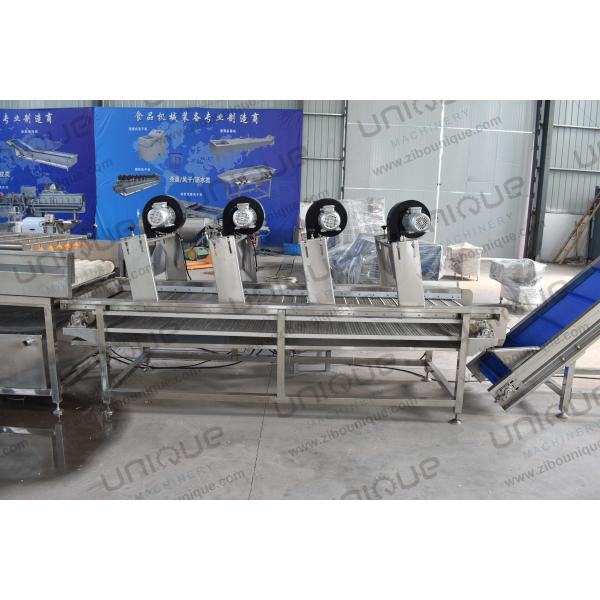 Hot Air Roller Belt Mesh Conveyor High Pressure Fans Air Dryer for Fruit and Vegetable