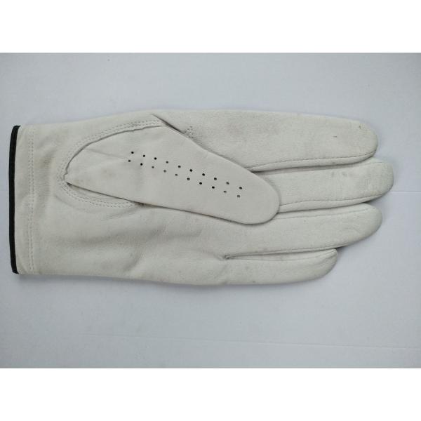 golf glove , golf gloves , glove , gloves