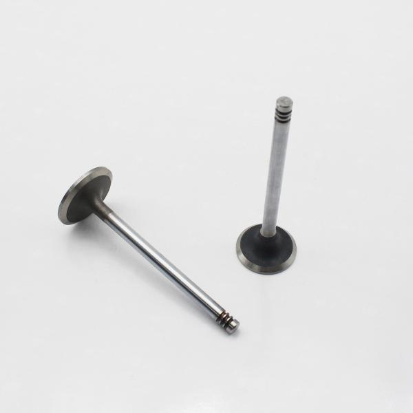 Fabricante de alta qualidade 20798699 20798533 válvula de exaustão da entrada do motor diesel D6D D6E para Volvo EC160B EC200B EC210B