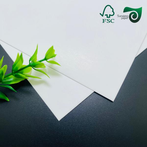 FSC 260gsm Heat Resistant PET Coated White Cardboard  Food Grade For Toasting