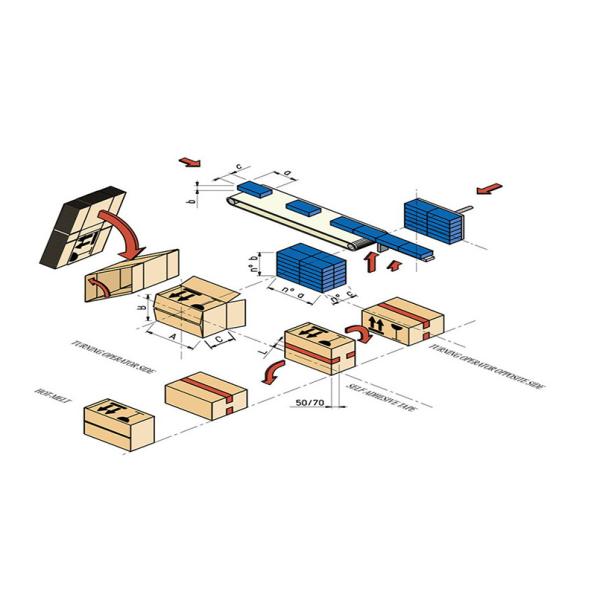 Side Loading 8 Cases/Min Carton Case Packer Compact Box Packer Machine