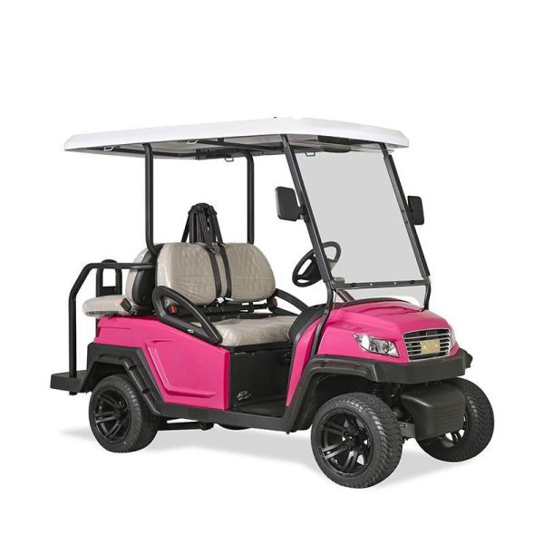 Excar 4 passenger Electric Hunting Carts 275A Curtis Controller/Trojan Batteries