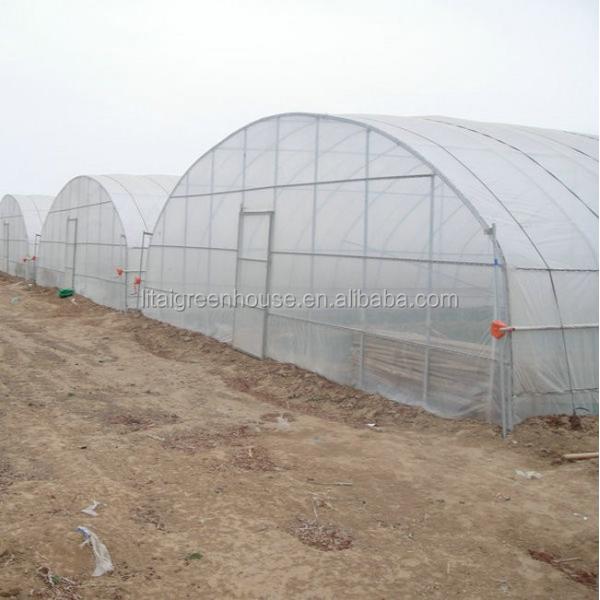 Hydroponic Greenhouse Strawberry Length 30-100m Suitable for Vegetable Fruits Flowers