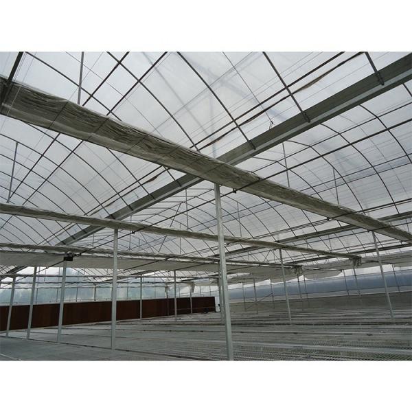 Serre tunnel plastique multi-travées pour fleurs et légumes hydroponiques
