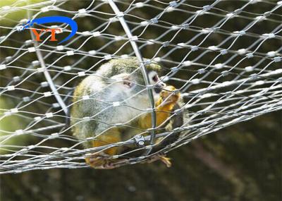 Ferruled Zoo Wire Mesh 3.2mm Stainless Steel Bird Cage Wire 30x30mm