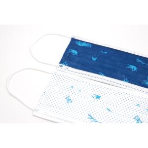 Disposable Protective Face Mask
