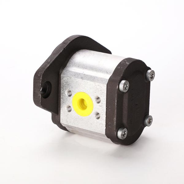 0510765055 Hydraulic Gear Pump with Skew Tooth Flank Azpff-11-022/008rrr2020kb-S0081