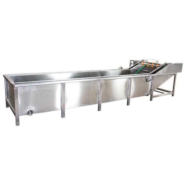 Машина для стирки авокадо с воздушным пузырем высокого давления 500 кг 1400 кг/ч