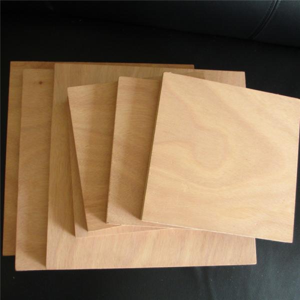 Yacht Building Marine Okoume Plywood
