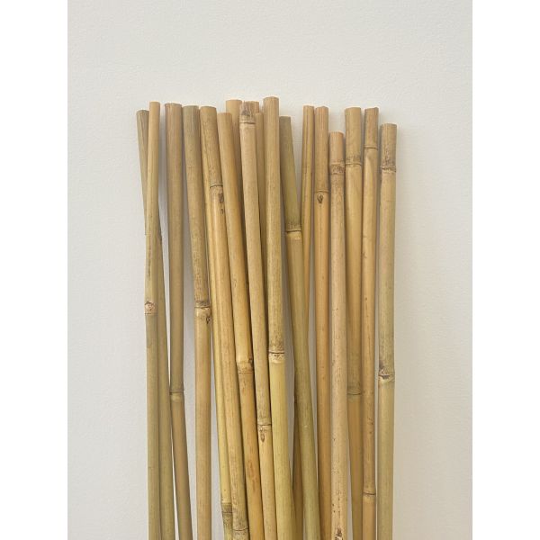 Strong & Sustainable Bamboo Stakes: Premium Supports for Climbing Plants