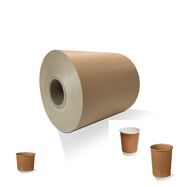 Craft Material PE/PLA coated paper roll Free Sample OEM FDA Quality for heavy Weight Customized Color