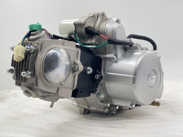 110CC 4 Stroke DAYANG Tricycle Motorcycle Engine with Dual Clutch and Electric/Kick Start