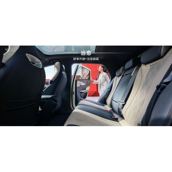 BYD 2025 Dolphin 520km Knight Edition EV