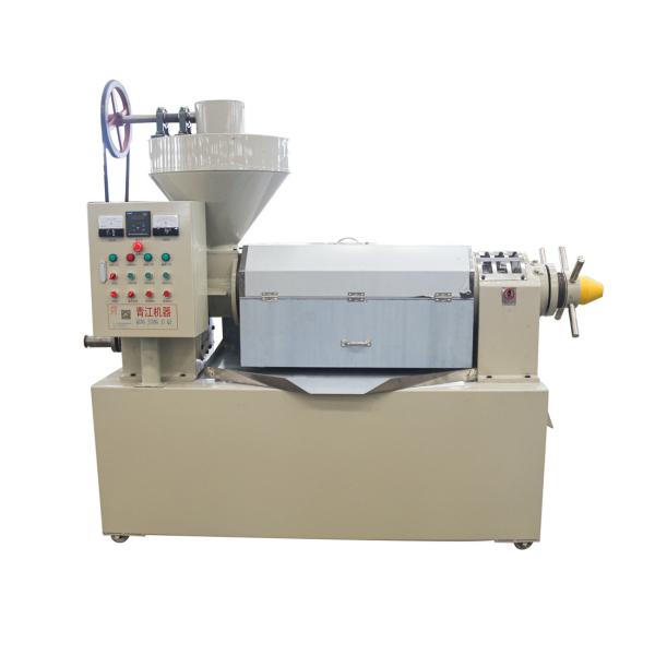 600kg/H  Palm Kernals Oil Processing Machines Automatically Fedding  cold press Groundnuts Oil Extraction