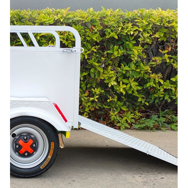 Single Bin Sanitation Electric Trike Residential Property Waste Collector