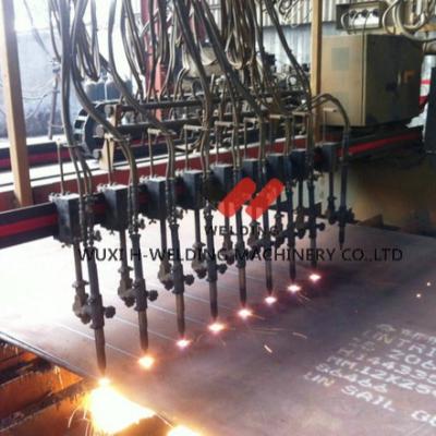 Réducteur de Neugart de système de Panasonic de plasma de flamme de découpeuse en métal de commande numérique par ordinateur de bande de flamme