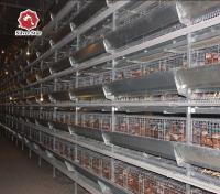 Type taille de 65*62.5 cm H de cage de poulet de batterie grande