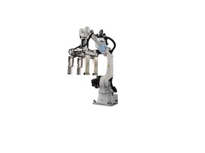 Safety Robotic Case Packer Case Packer Machine Operations
