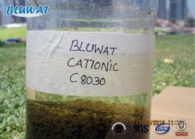 Tratamento de secagem da lama Cationic biológica do Polyacrylamide do floculante