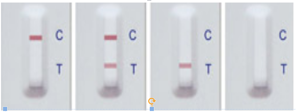 Золота наборов теста антитела бруцеллы обнаружение ветеринарного коллоидное быстрое для скотин