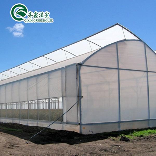 Single Span Greenhouse Mushroom Growing Equipment Covered with Transparent Plastic Film