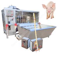 équipement de transformation porcine équipement d'abattage de porc machine à éliminer les poils de porc