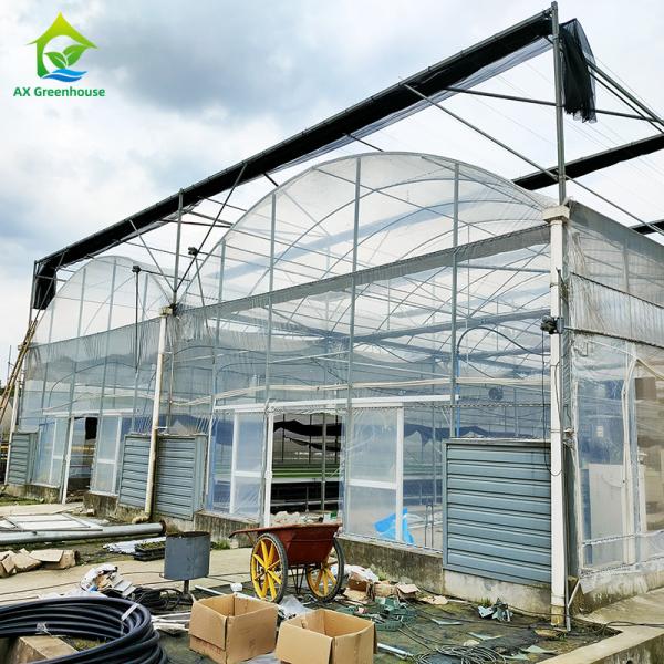 UV Resistant 30x10m Plastic Film Greenhouse for Tomato and Vegetable with Film Cover