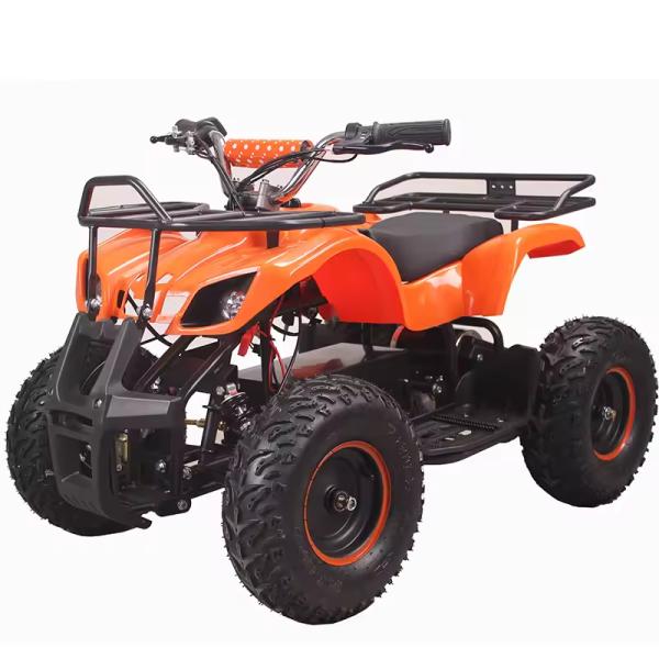 500W Mini Quad ATV for Kids 800W 1000W Electric Powered at Transmission CHAIN DRIVE