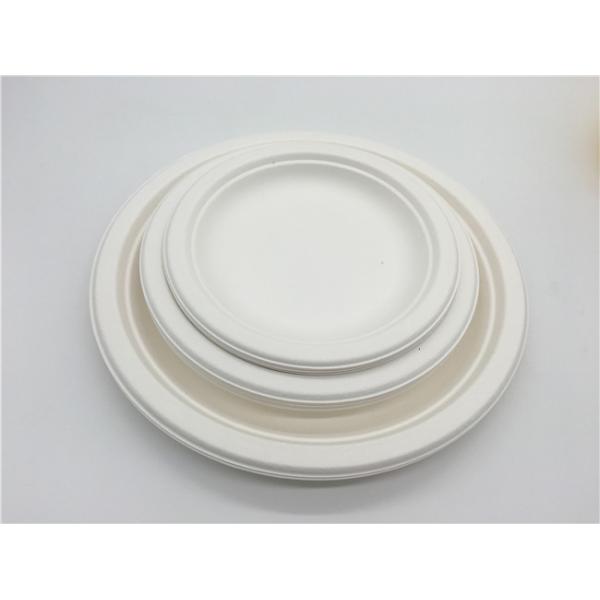 6 Inch  Microwavable Party Bagasse Disposable Plates