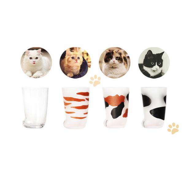 Термальной чашка матированного стекла когтя кота передачи 300мл дунутая рукой