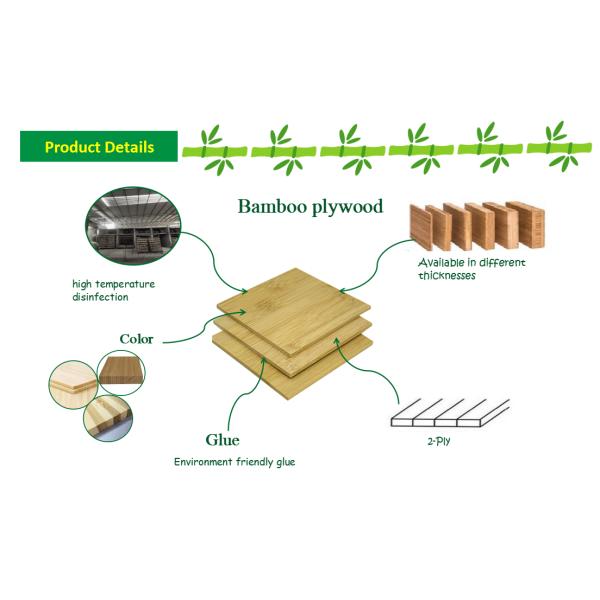 7mm 2 Ply Bamboo Panel for Furniture 2000mm x 600mm Construction Vertical/Horizontal