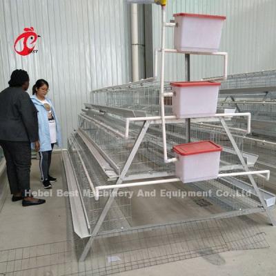 Tipo A Galinha 128 aves Aves Aves Galinha Bateria Caixa Sistema Galvanizado A Quente Mergulhado Para a Nigéria Fazenda Doris