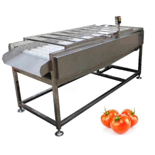 500kg/h Food Processing Plant Equipment , Vegetable Fruit Brush Washer