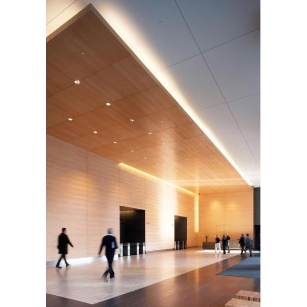 Indoor Aluminium Suspended Ceiling Tiles Solid Wood Printed Wall Covering Tiles