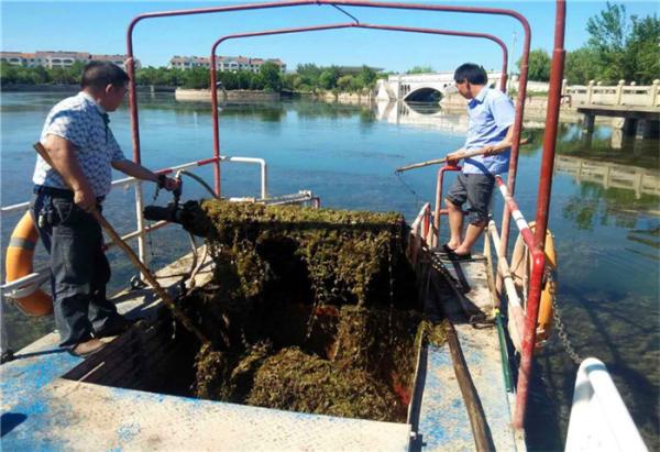 Automatic Cutter Lake Plants Boats Water Hyacinth Grass Aquatic Weed Harvester For Sale