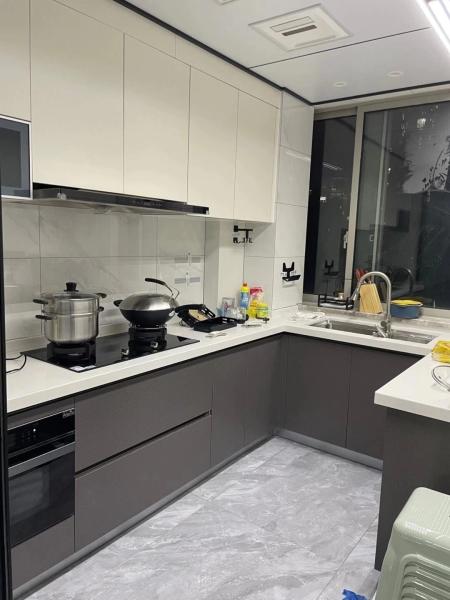 Playwoods Accesorios de diseño moderno Despensa Cocina Gabinete Apartamento