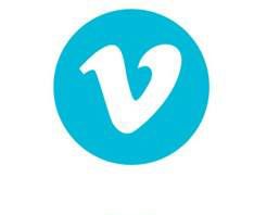 Metal chain chandelier hanging chain light fixtures for indoor home lighting (WH-CC-05)