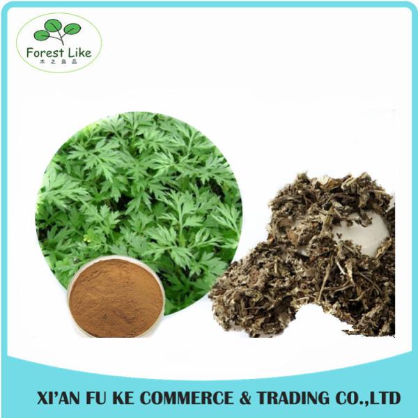 Chinese Herb Extract Mugwort Leaf Extract 5:1- 20:1