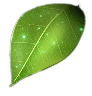 30 тонн рисовой мельницы завода паркировки Механическая пшеничная кукуруза кукурузный пиджак сушилка