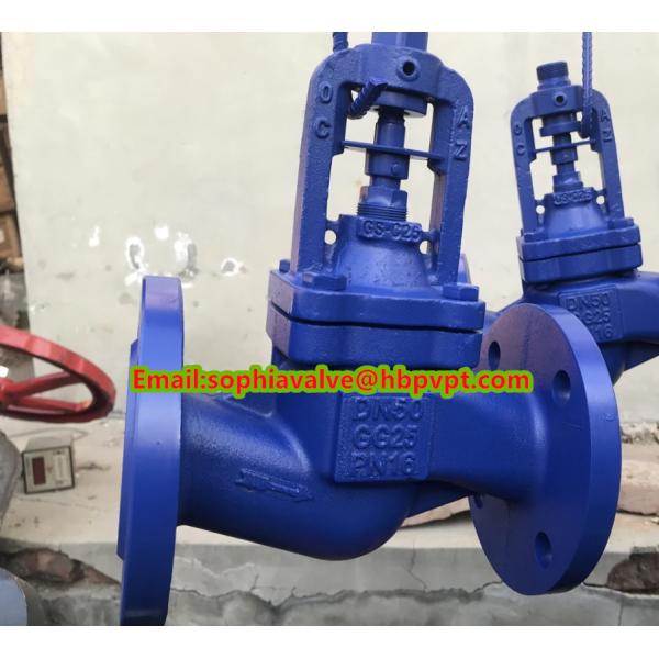 DIN bellows flanged cast iron globe valve