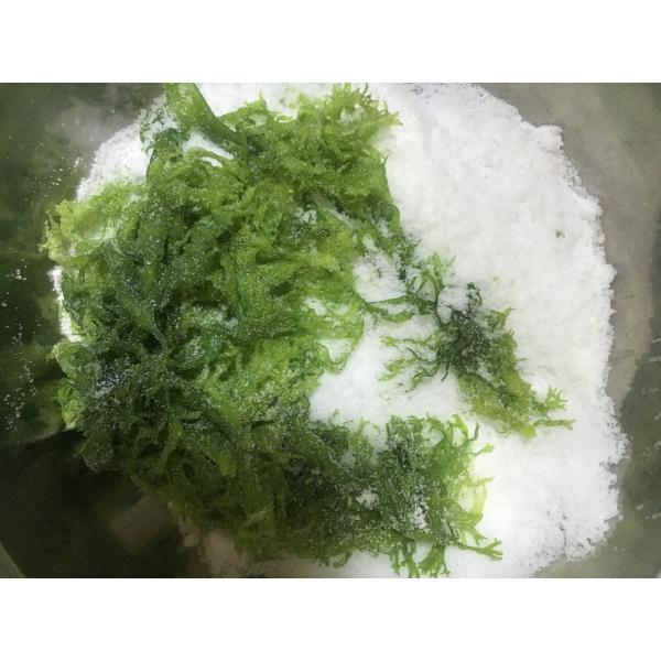 FROZEN Dried Seaweed Tosaka In Red Green Style Flavored Seasoned