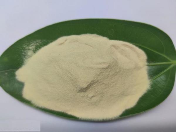 Ph4-6 Amino Plus Foliar Fertilizer 80% Yellow Powder SGS Amino Acid Powder