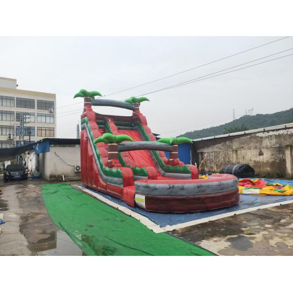 Темный - скольжение красного красочного аквапарк раздувное плавая с бассейном