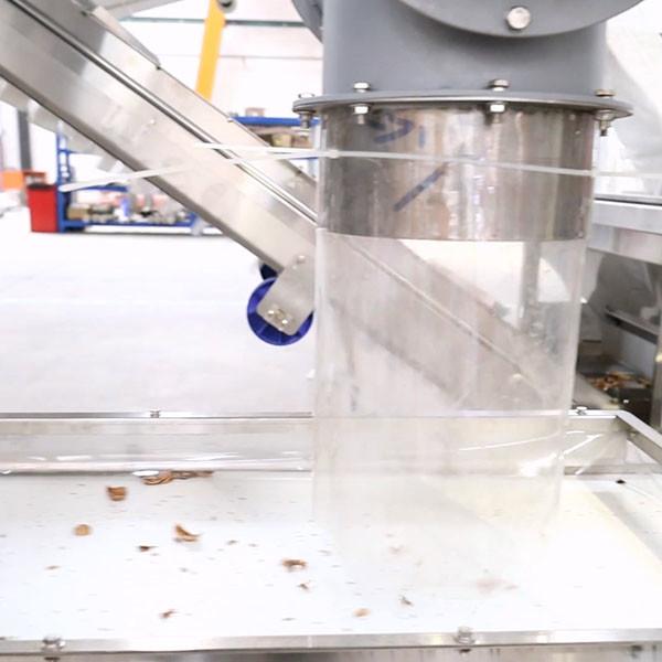 Food Grade Conveyor Belts Walnut Shelling Machine 380V 2 Tons Output