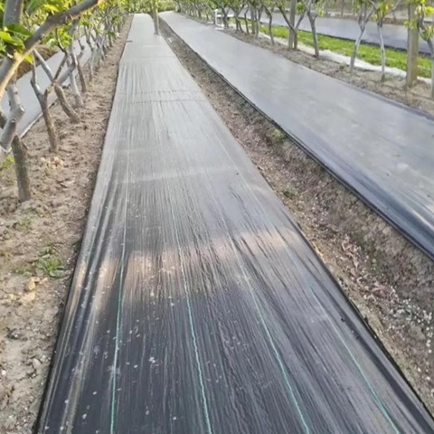 High Tensile Strength Weed Barrier Fabric Dual Functions For Weed Control
