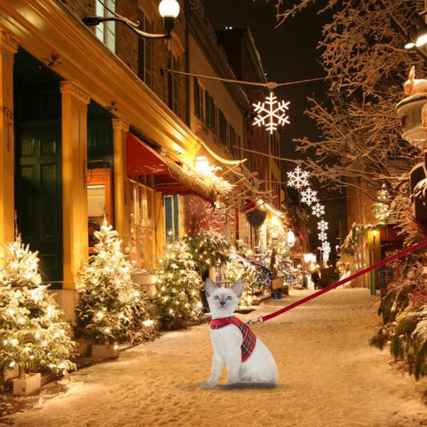Christmas Escape Proof Cat Harness And Leash Set Large Size Neck Girth 9.0-13